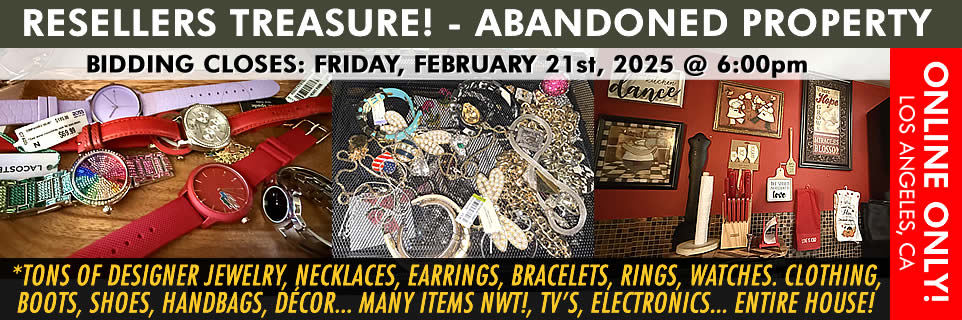 Online Auction 2025-02-21 - Resellers Treasure! Abandoned Property Auction